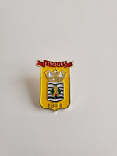 Load image into Gallery viewer, Pin del escudo de Vieques
